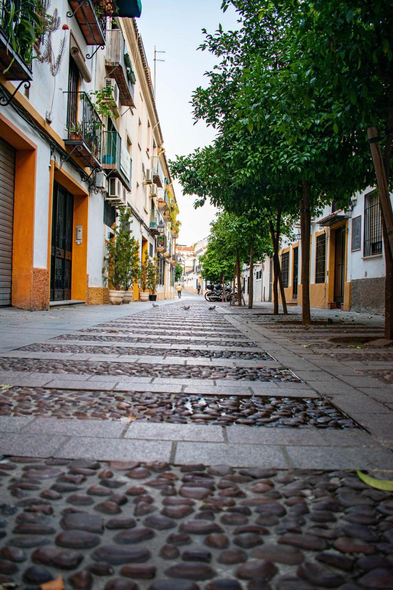 Alojamiento Entero, Centro De Cordoba Con Cochera Kültér fotó